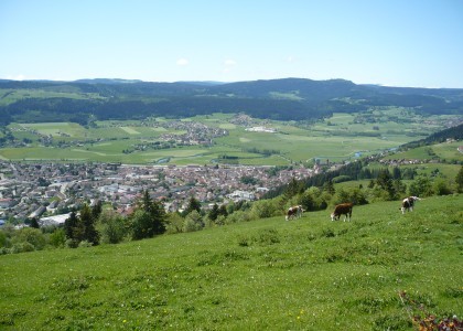 Mont-Vouillot, a viewpoint near La Miellerie